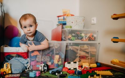 Toy and Collectible Storage and Display Options: Showcasing Your Passion